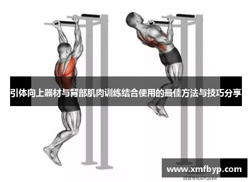 引体向上器材与背部肌肉训练结合使用的最佳方法与技巧分享
