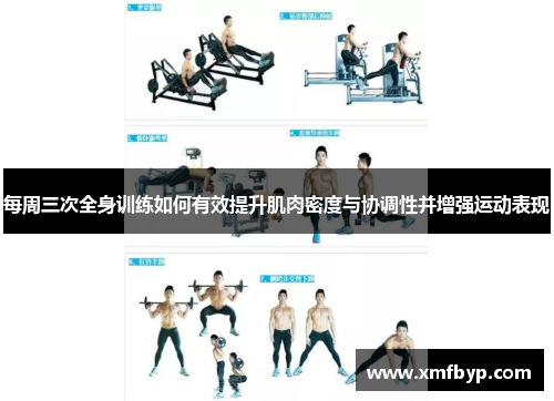 每周三次全身训练如何有效提升肌肉密度与协调性并增强运动表现