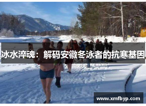 冰水淬魂：解码安徽冬泳者的抗寒基因