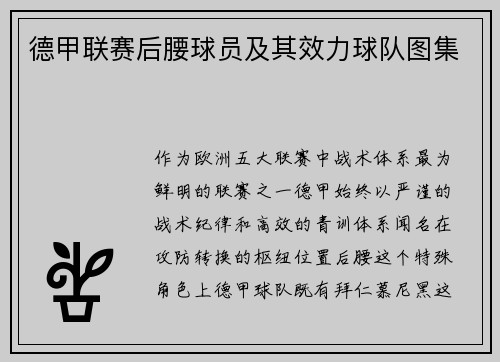 德甲联赛后腰球员及其效力球队图集