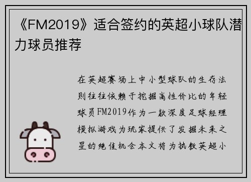 《FM2019》适合签约的英超小球队潜力球员推荐